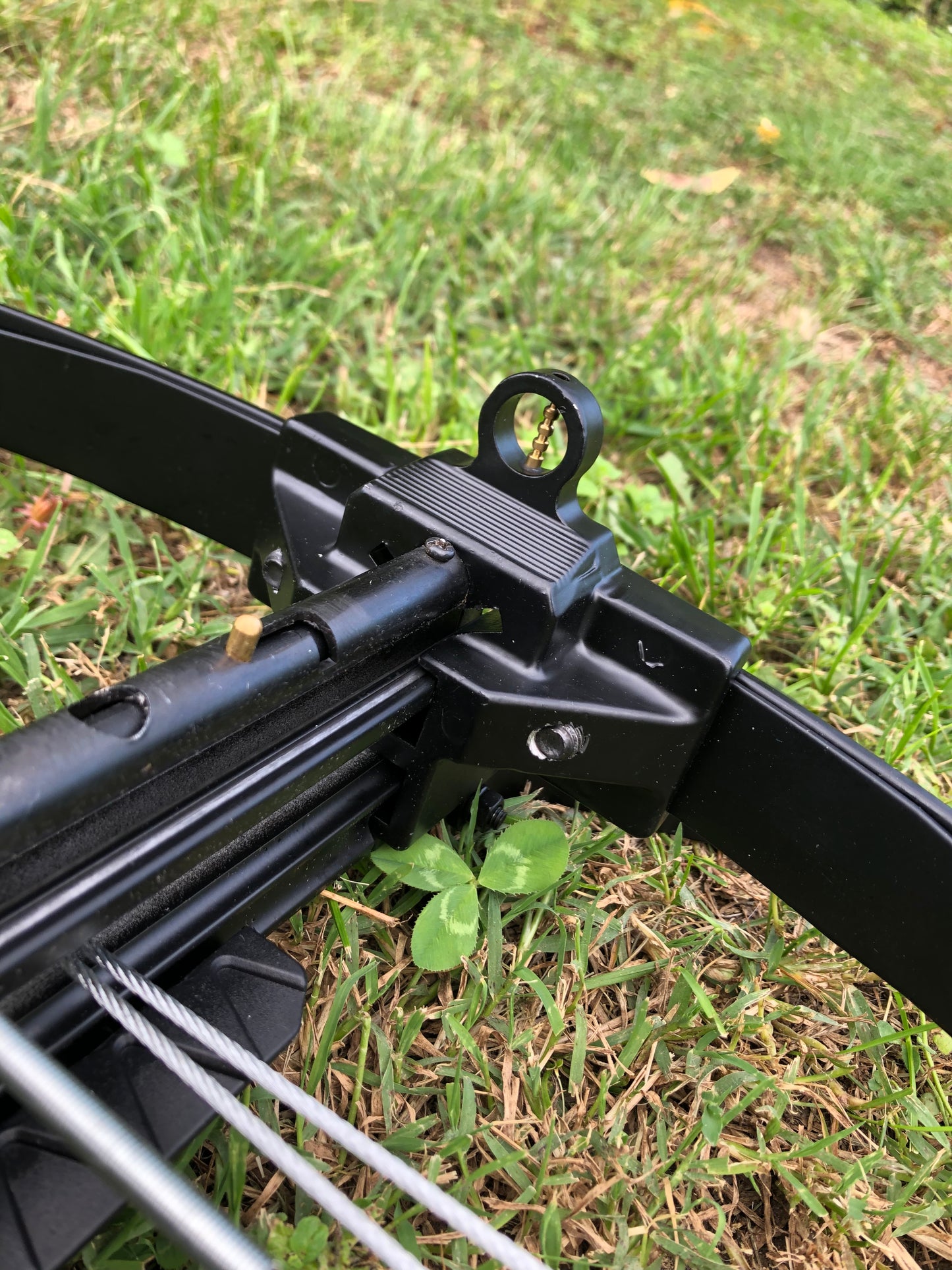 Fucile Balestra Da Caccia Carrucolata con Ottica, 180 FPS, 120 libbre